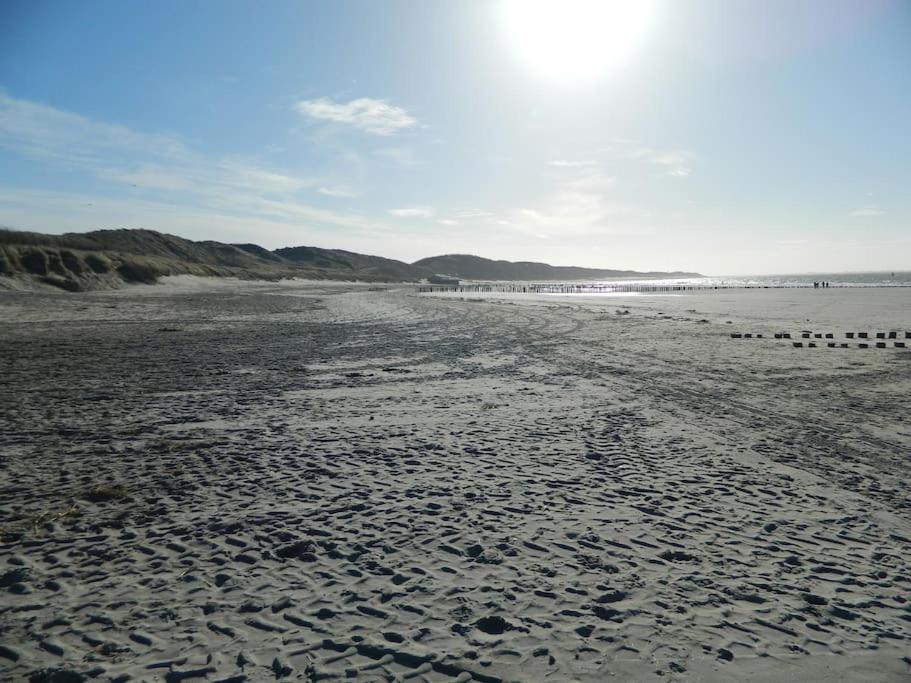 Modern En Sfeervol Appartement Aan Zee Met Airco ザウテランデ エクステリア 写真